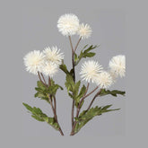 Krém színárnyalatú bogáncs művirág.